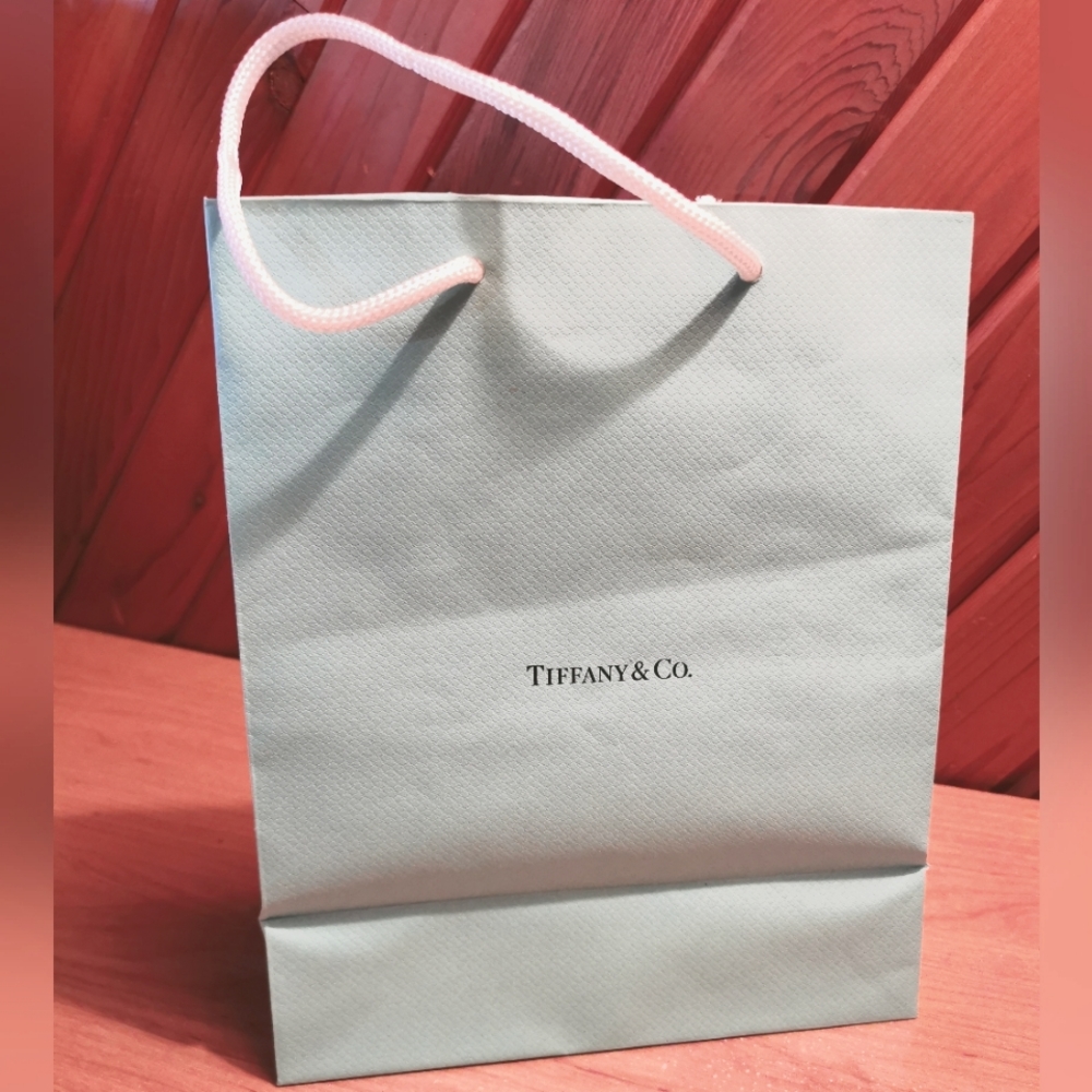 TIFFANY & Co. Gift Bag